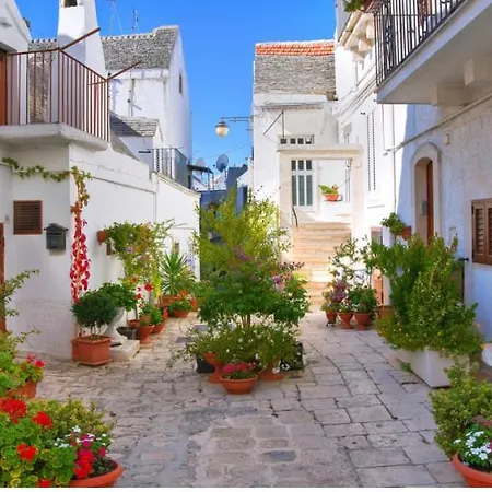 Principe18 B&B 노치